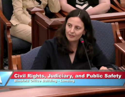 Nicole Shannon - in front of the Michigan Senate Committee on Civil Rights, Judiciary, and Public Safety